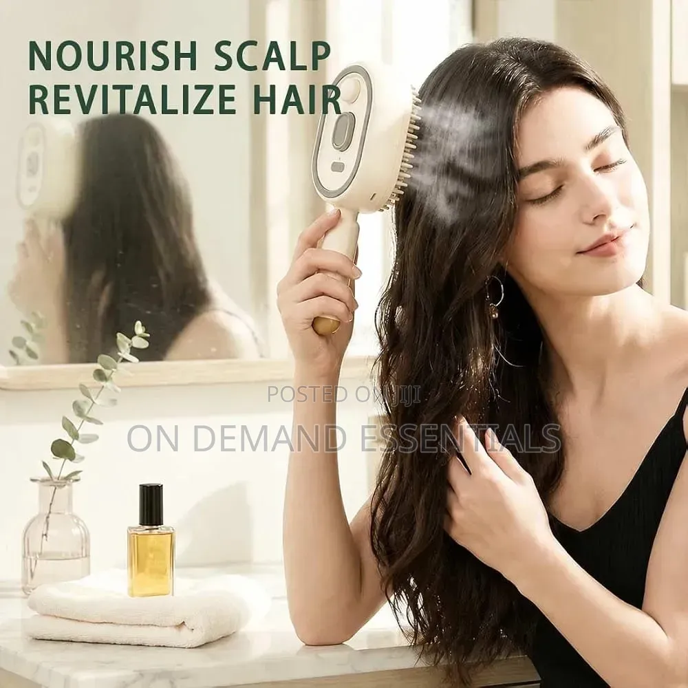 3 in 1 Rechargeable Mist Grooming Brush