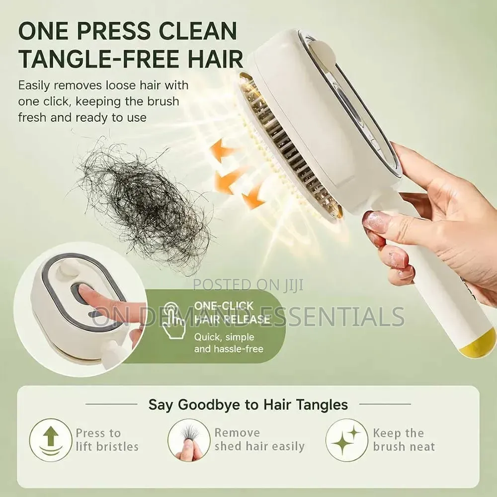 3 in 1 Rechargeable Mist Grooming Brush