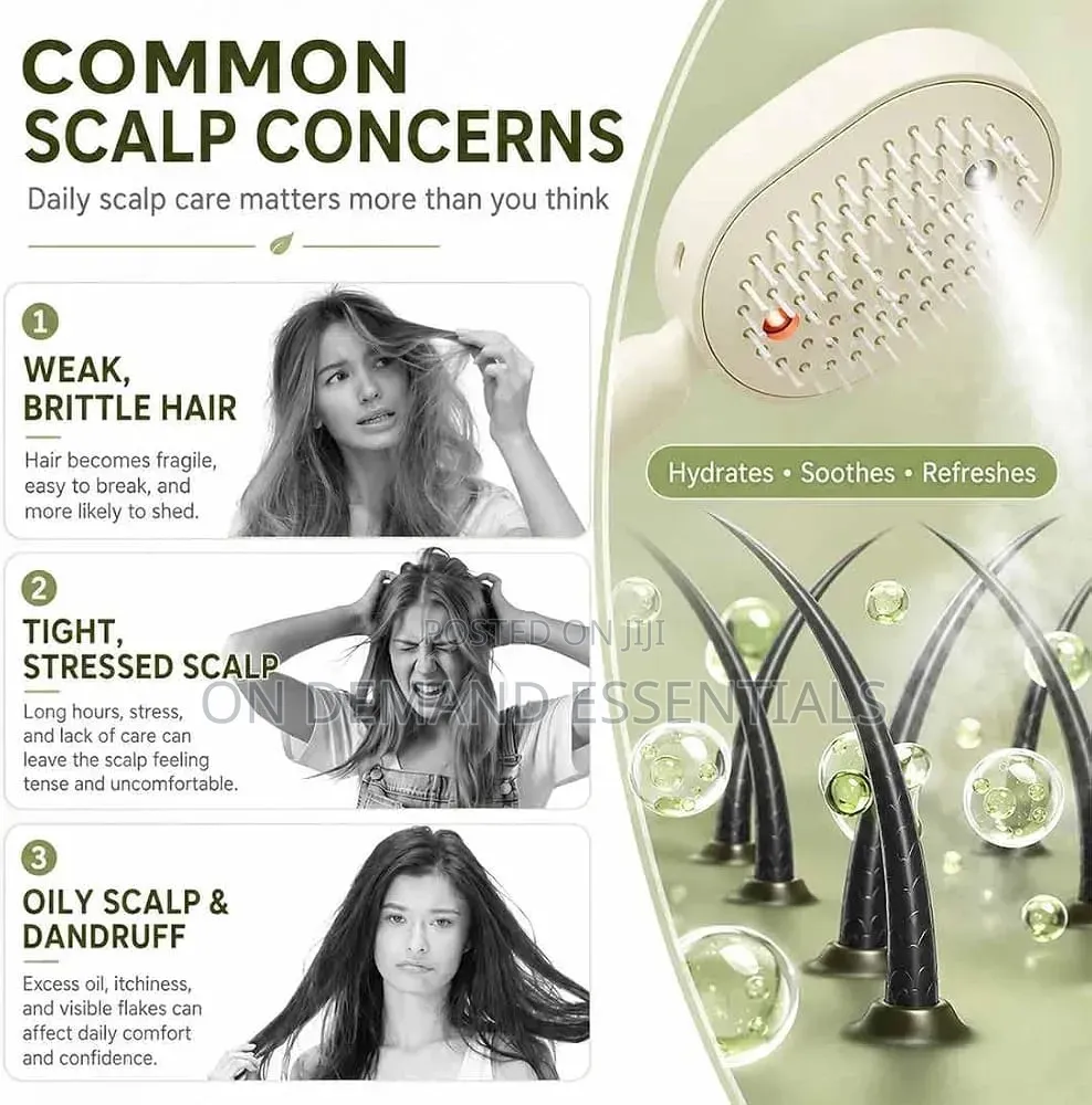 3 in 1 Rechargeable Mist Grooming Brush
