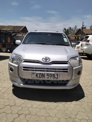 Toyota Probox 1.5 DX 2WD 2016 Silver