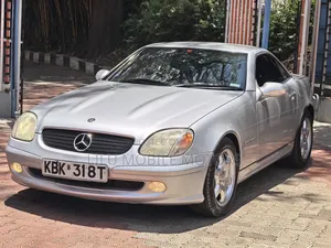 Mercedes-Benz 230E 2002 Silver