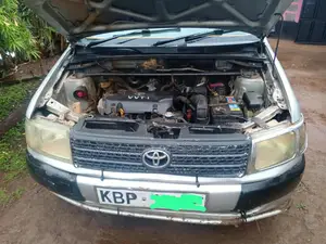 Toyota Probox 2005 Silver