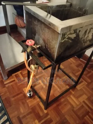 Single Gas Fryer