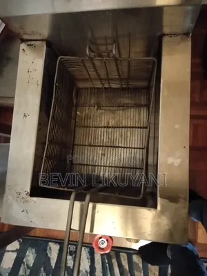 Single Gas Fryer
