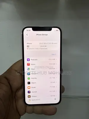 Apple iPhone 12 Pro 256 GB Silver