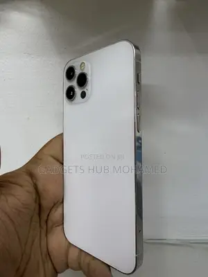 Apple iPhone 12 Pro 256 GB Silver