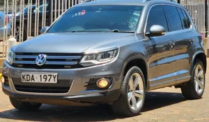 Volkswagen Tiguan 2015 Silver