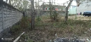 Two Plots in Kenol 40 by 80 Each