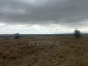 40 Acres Touching Road Kenanie