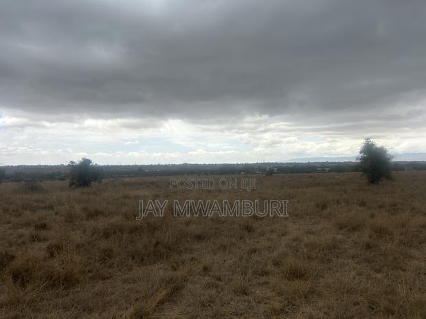 40 Acres Touching Road Kenanie - main view
