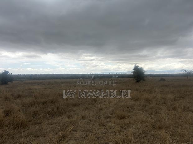 40 Acres Touching Road Kenanie - thumbnail 2