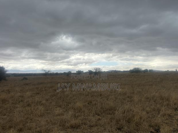 40 Acres Touching Road Kenanie - thumbnail 3