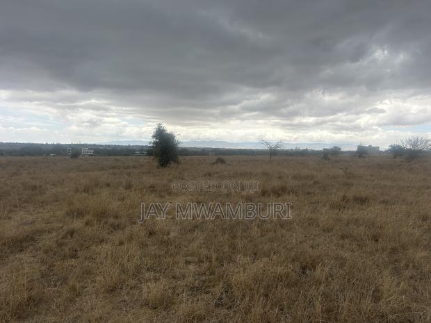 40 Acres Touching Road Kenanie - thumbnail 7