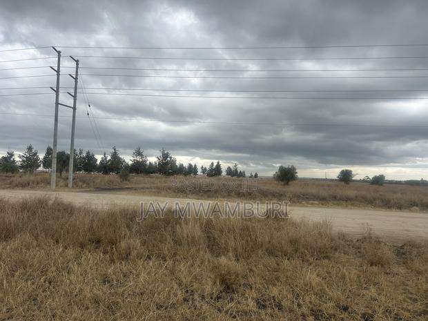 40 Acres Touching Road Kenanie - thumbnail 8