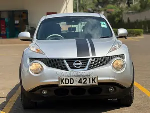 Nissan Juke 2014 Silver