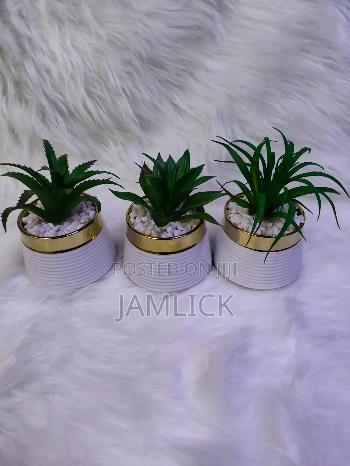 Ceramic Succulent Plant –GW
