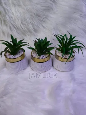 Ceramic Succulent Plant –GW