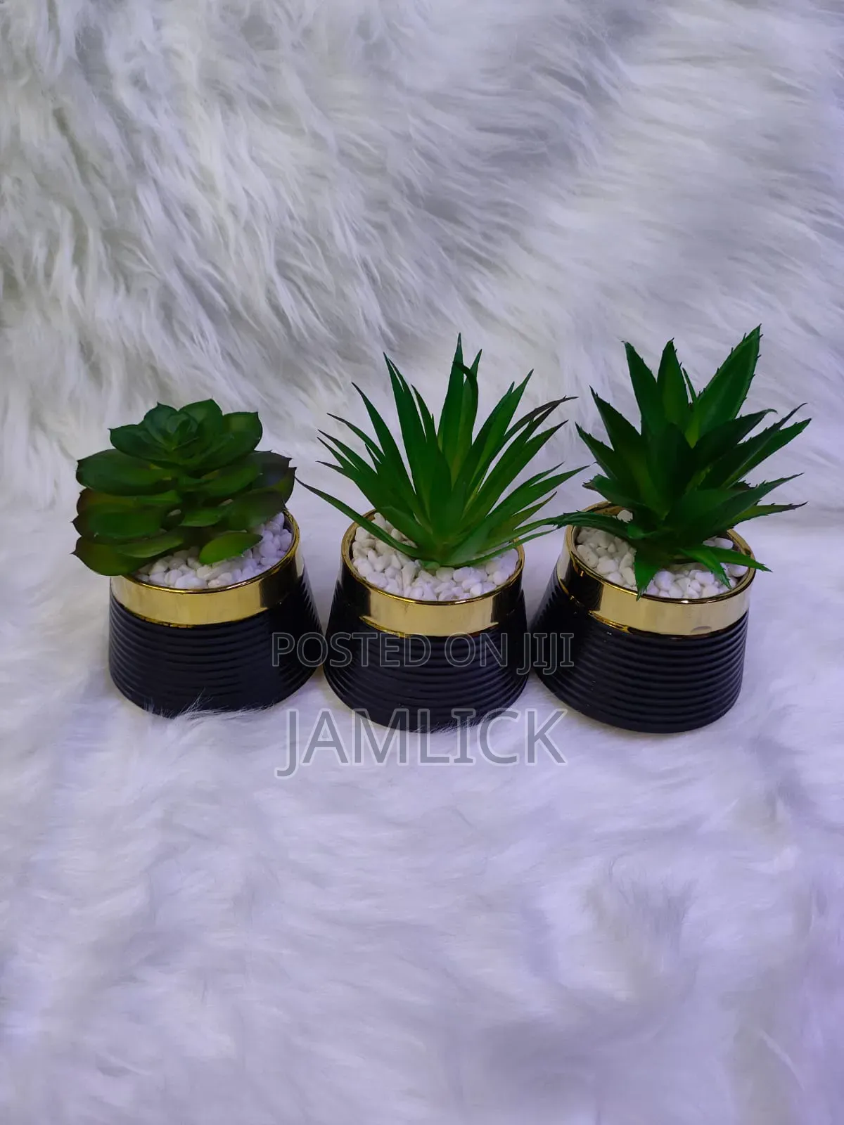 Ceramic Succulent Plant –GW