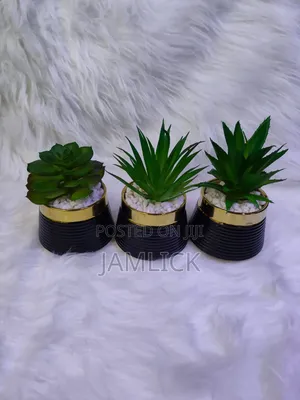 Ceramic Succulent Plant –GW