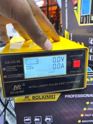 Bolaimei BLM-866C 12V 24V Intelligent Car Battery Charger
