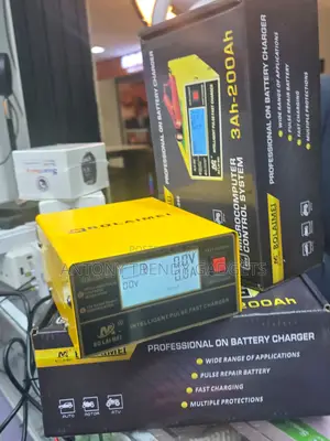 12V 24V Digital LCD Battery Charger for Cars and Motorcycles
