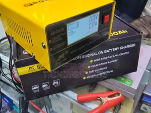 BLM-866C Automatic Pulse Repair Charger for Car Batteries