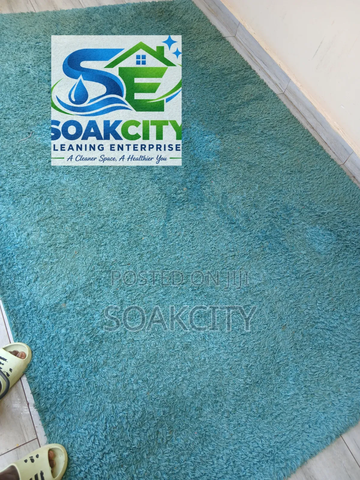 Carpet Cleaning