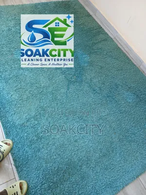 Carpet Cleaning