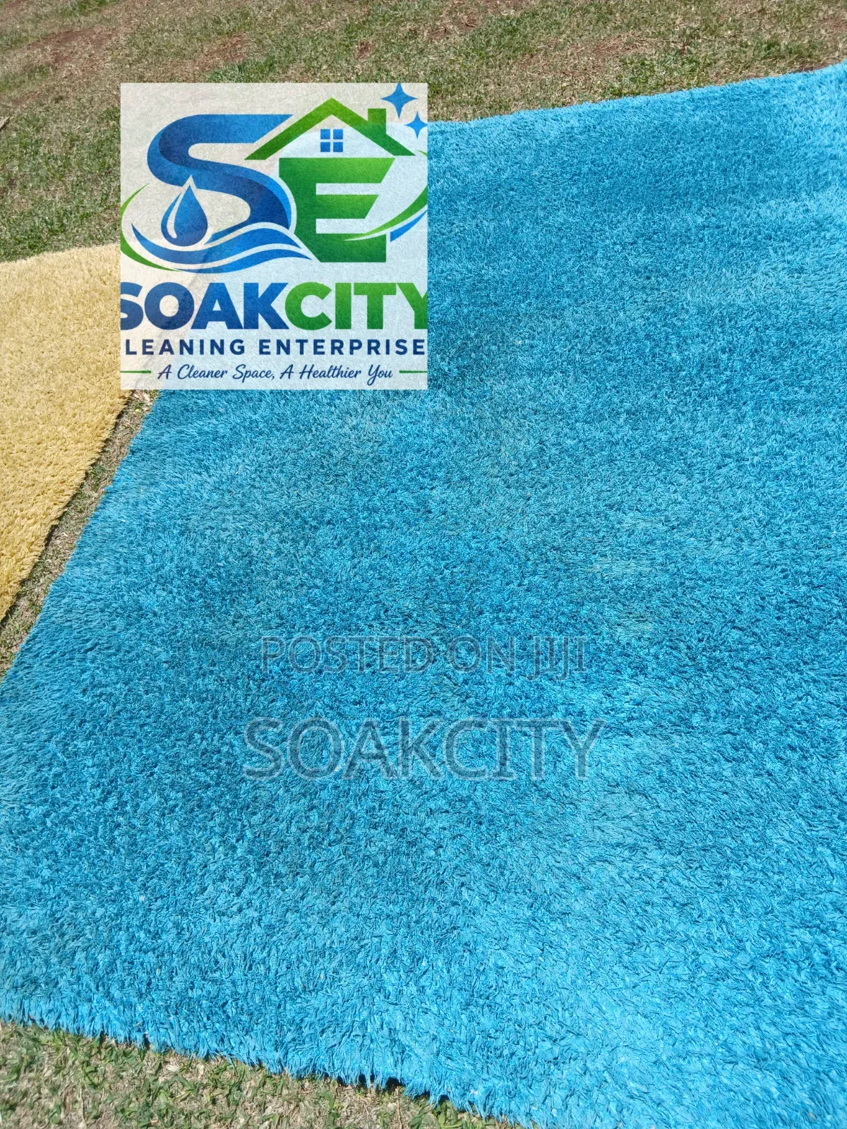 Carpet Cleaning
