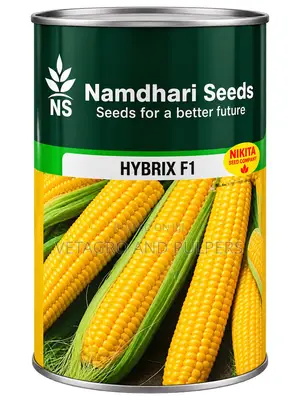 Hybrid Hybrix F1 Hybrid Sweet Corn Seeds