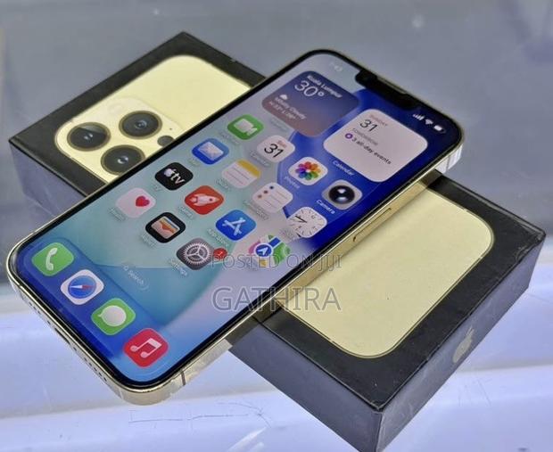 Apple iPhone 13 Pro Max 512 GB Gold