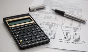 Professional Business Plans, Budgets & Financial Projections