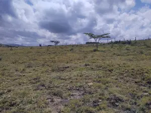 600 Acre Land for Sale in Magadi