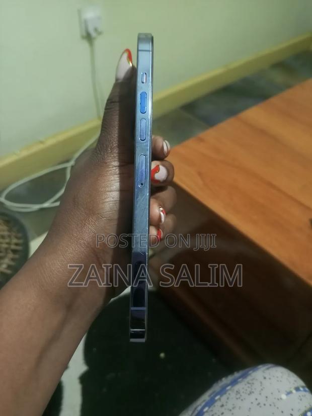 Apple iPhone 13 Pro Max 256 GB Blue - thumbnail 3