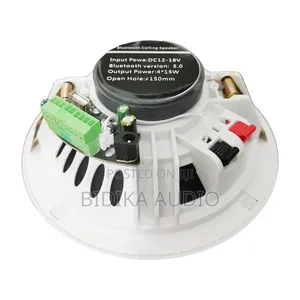 6-Inch 15W Active Load Indoor Audio Ceiling Speaker Waterproof
