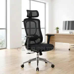 Orthopedic Mesh-Back High Back Chair