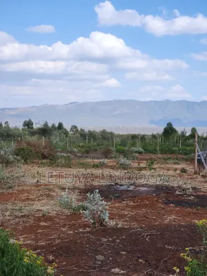 1⁄4 Acres Ngong-Kimuka (Maroroi)