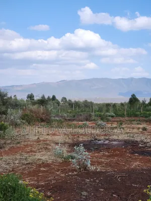 1⁄4 Acres Ngong-Kimuka (Maroroi)