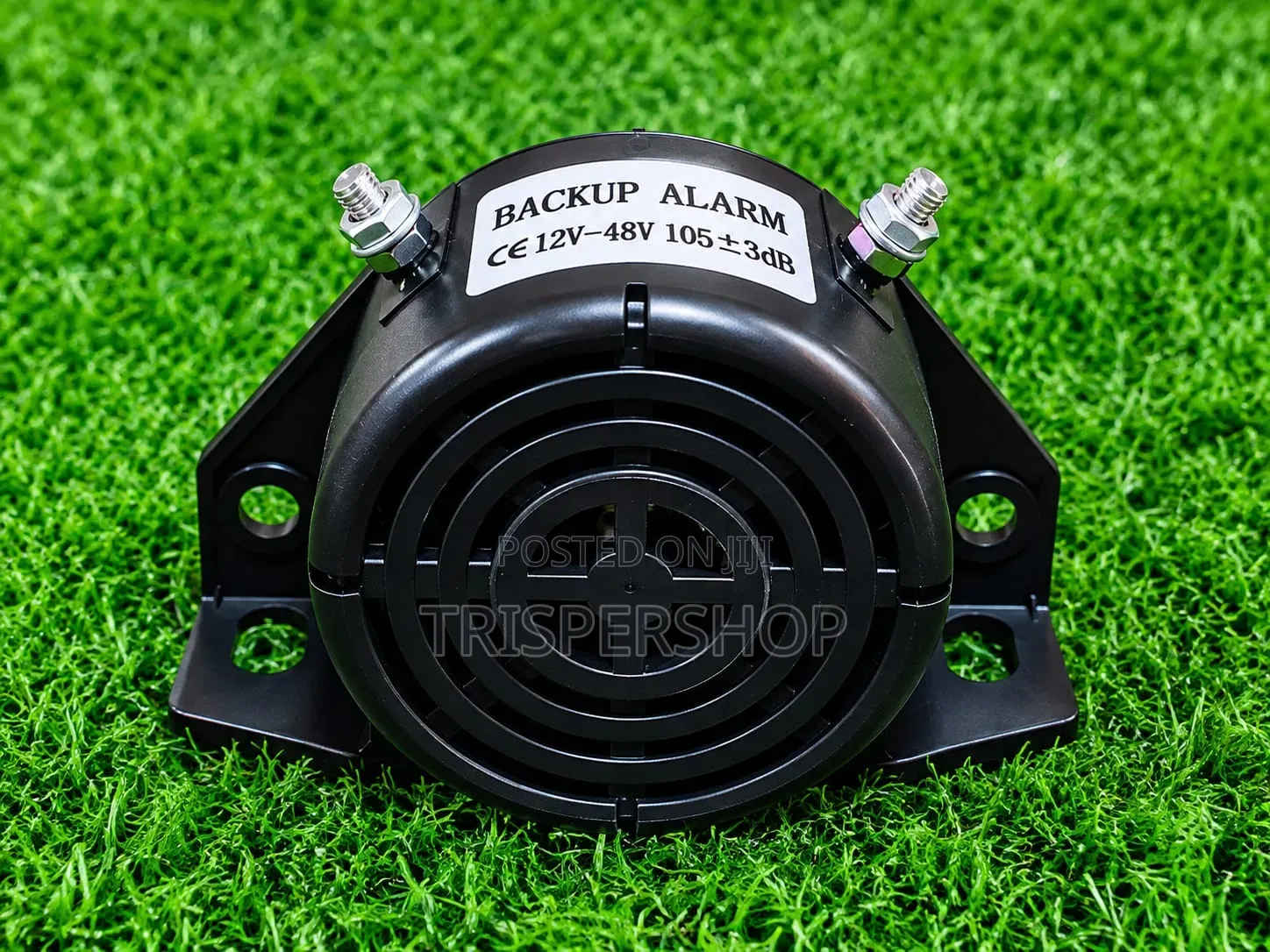 Backup Alarm System