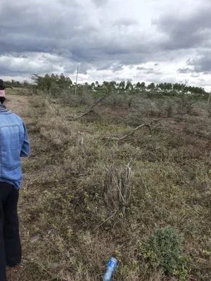 Land for Sale in Lolldaiga- Nanyuki