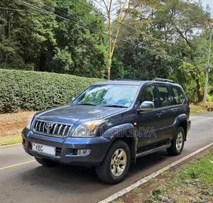 Toyota Land Cruiser Prado 2008 Gray