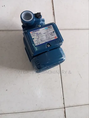 Pedrollo Water Pump Pkm60