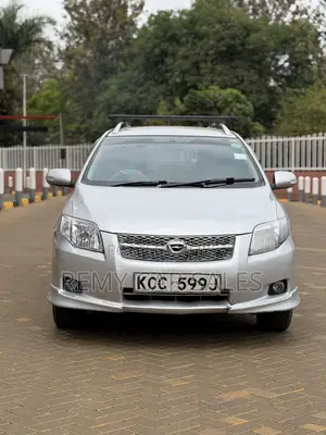 Toyota Corolla Fielder 2008 Silver