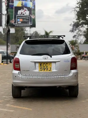 Toyota Corolla Fielder 2008 Silver