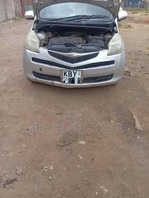 Toyota Ractis 2007 Silver