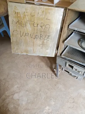Electric and Coal Oven