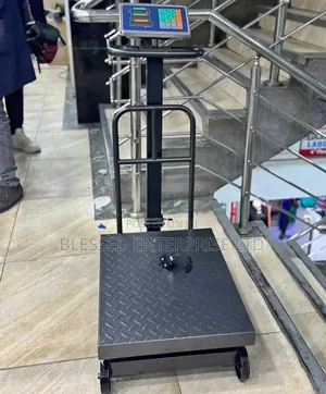 Commercial 600kg Heavy Duty Weighing Scale Machine