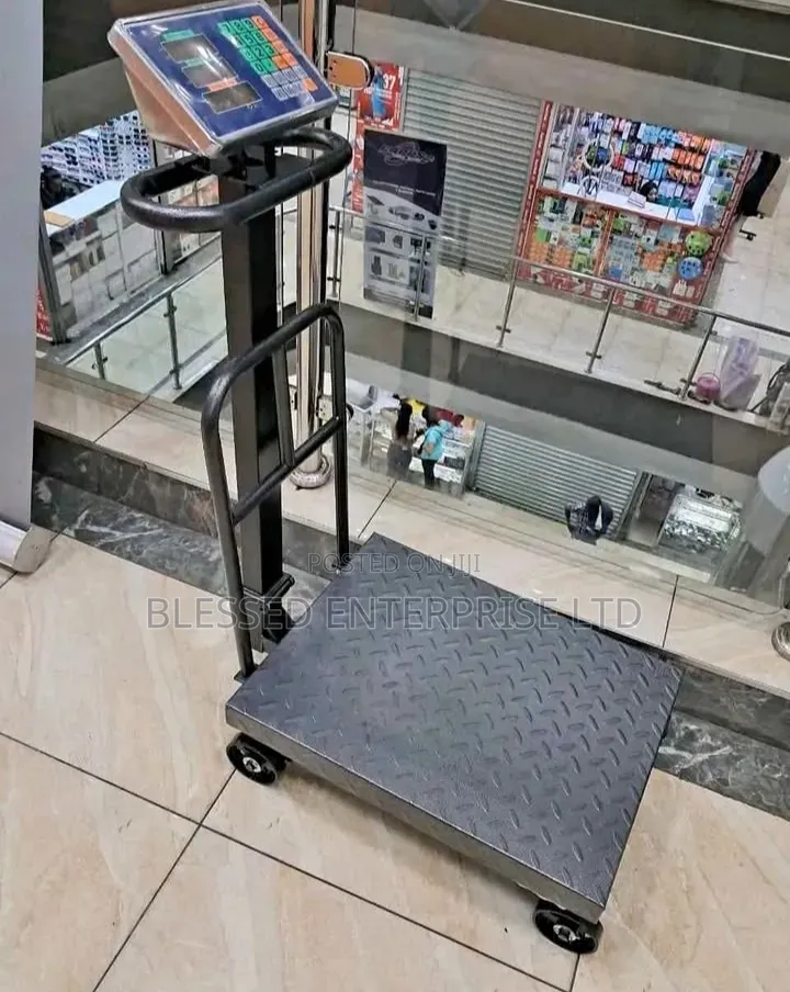 600kg Platform Weighing Scale/Commercial Weighing Scale