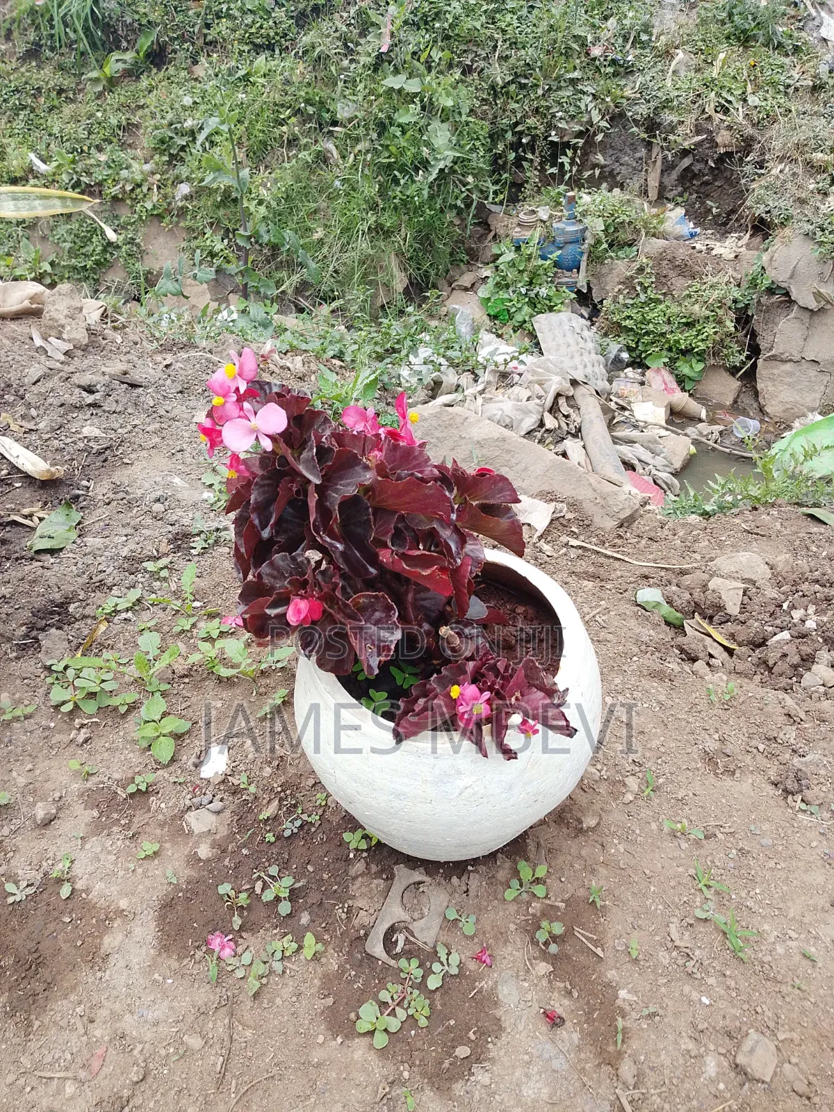 Under Services