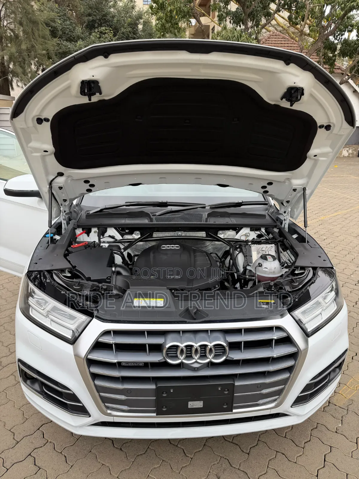 Audi Q5 2.0T Premium AWD quattro 2019 White